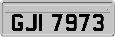 GJI7973