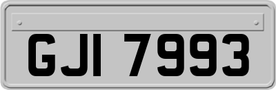GJI7993