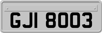 GJI8003