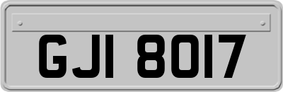 GJI8017