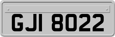 GJI8022