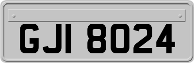 GJI8024