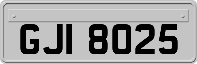 GJI8025