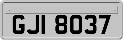 GJI8037
