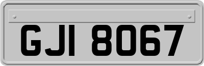 GJI8067