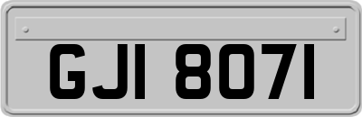 GJI8071