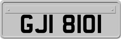 GJI8101