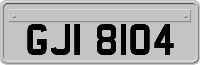 GJI8104