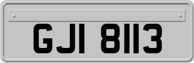 GJI8113