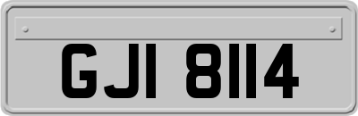 GJI8114