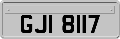 GJI8117