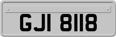 GJI8118