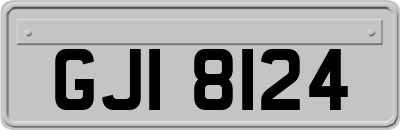 GJI8124