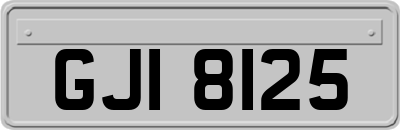 GJI8125