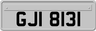 GJI8131