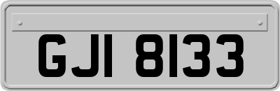 GJI8133