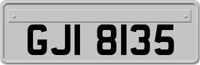 GJI8135