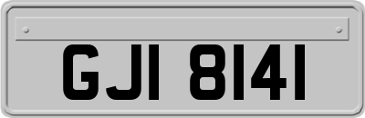 GJI8141