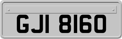 GJI8160
