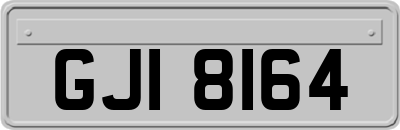 GJI8164