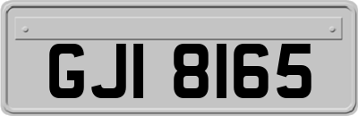 GJI8165