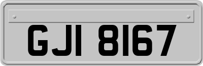 GJI8167