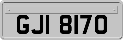 GJI8170
