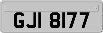 GJI8177