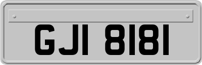 GJI8181
