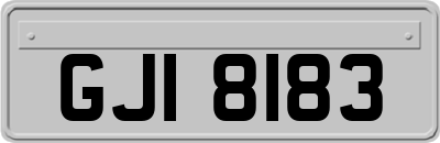 GJI8183