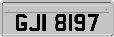 GJI8197