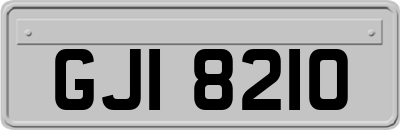 GJI8210