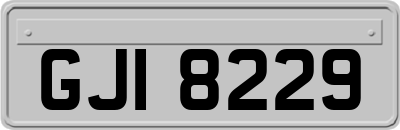 GJI8229
