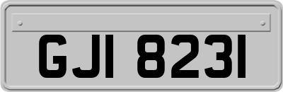 GJI8231