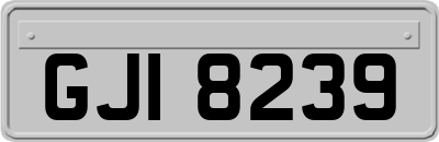 GJI8239