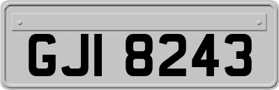 GJI8243