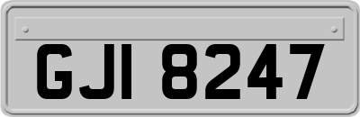 GJI8247
