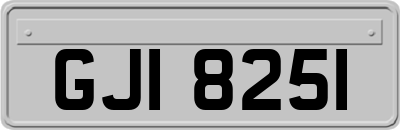GJI8251