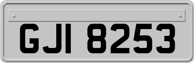 GJI8253