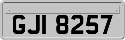 GJI8257