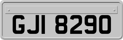 GJI8290