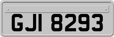 GJI8293