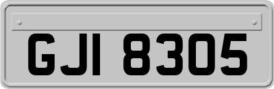 GJI8305