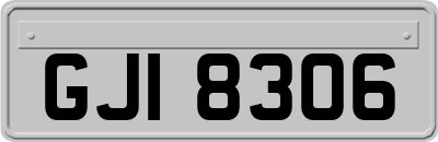 GJI8306