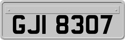 GJI8307