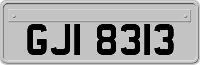 GJI8313