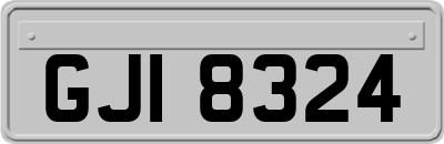 GJI8324