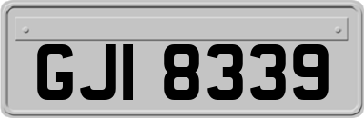 GJI8339