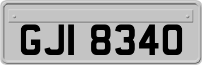 GJI8340