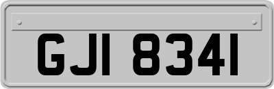GJI8341